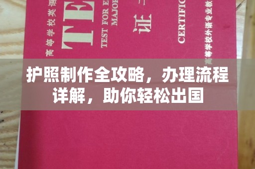 东丽护照制作全攻略，办理流程详解，助你轻松出国
